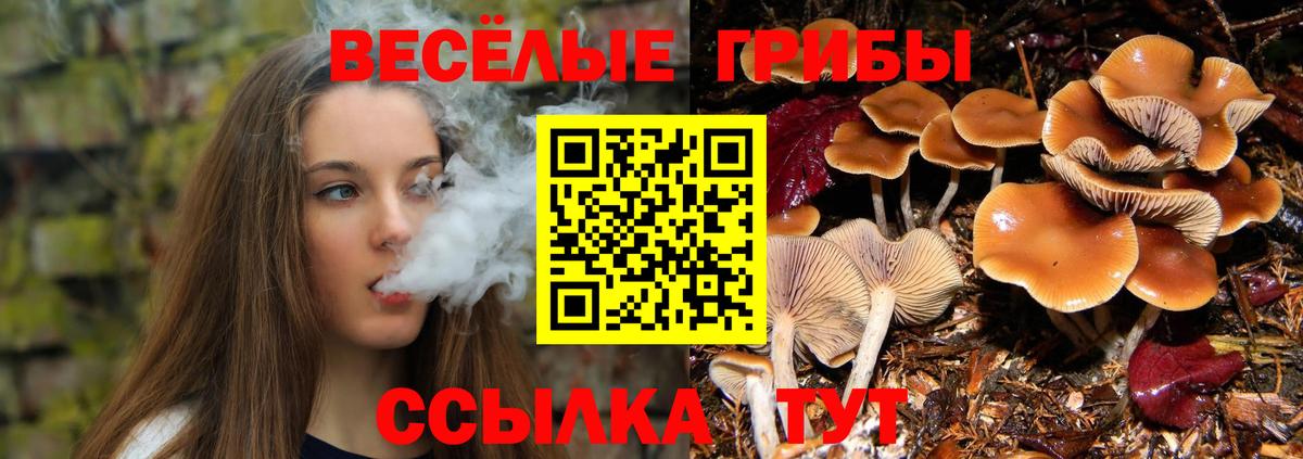 где купить   Вход с VPN  Нижневартовск  Псилоцибиновые грибы Psilocybe 